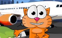 Cat Around Europe