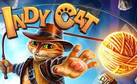 Indy Cat