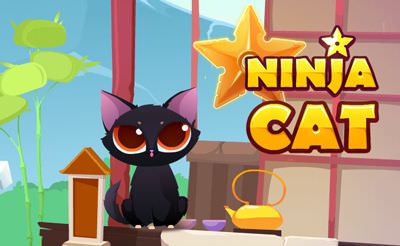 Ninja Cat Game Play Online For Free Download