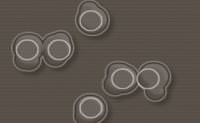 One Bubble