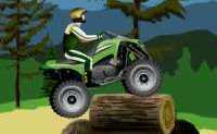 Stunt Dirt Bike