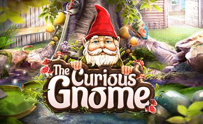 The Curious Gnome