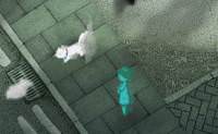Time4MoreCat