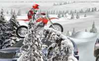 Winter Rider